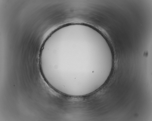 X0000110921183200907091450