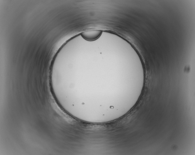 X0000110921187200907091450
