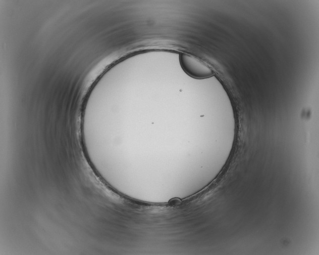 X0000110921188200907091450