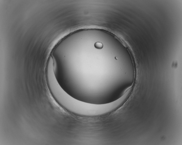 X0000110921189200907091450
