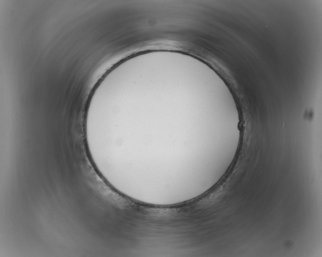 X0000110921192200907091450