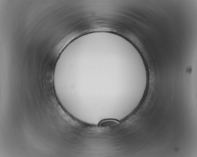 X0000110921193200907091450