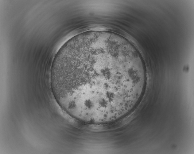 X0000110921194200907091450