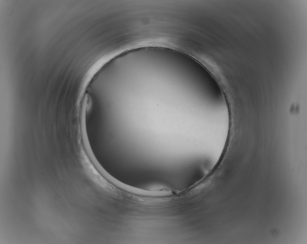 X0000110921200200907091449