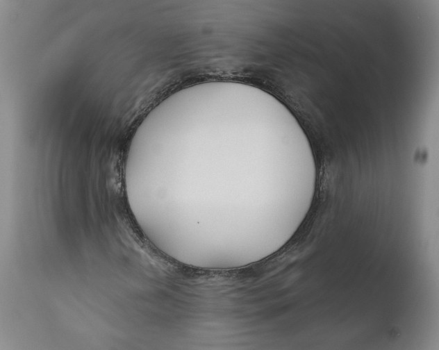 X0000110921202200907091449