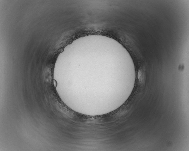 X0000110921203200907091449