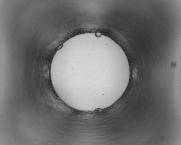 X0000110921204200907091449