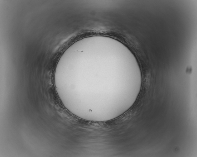 X0000110921205200907091449