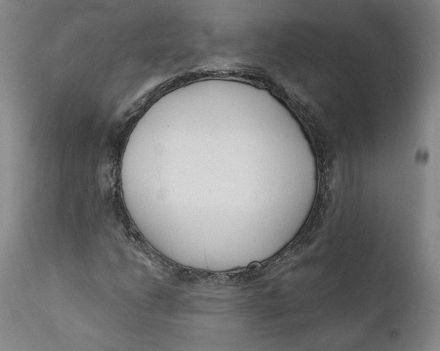 X0000110921206200907091449