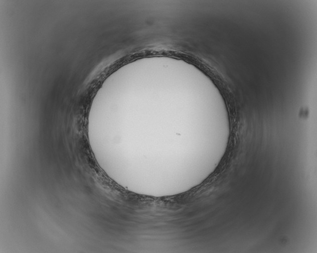 X0000110921207200907091449