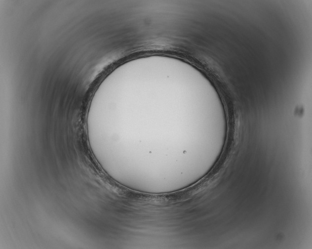 X0000110921210200907091449