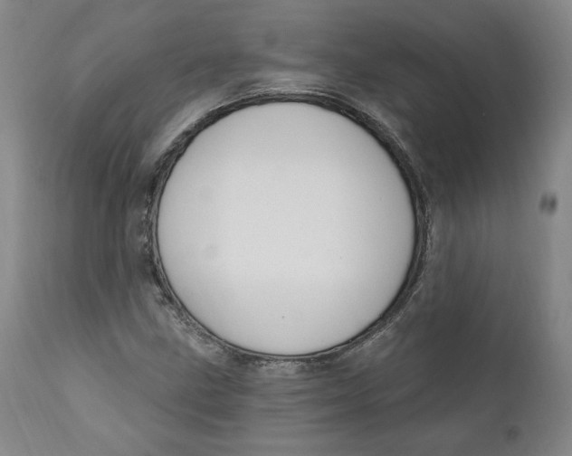 X0000110921211200907091449