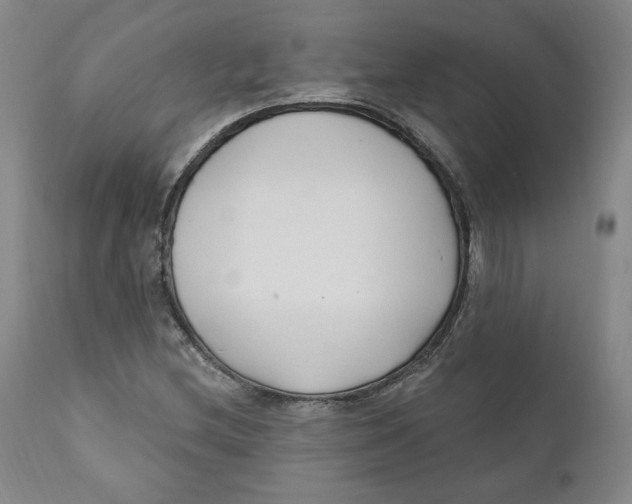 X0000110921212200907091449