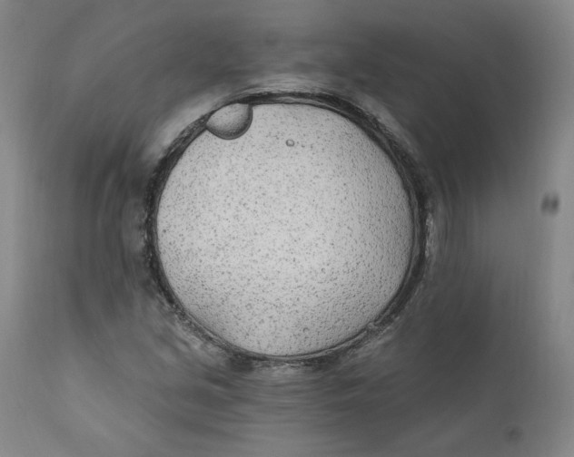 X0000110921213200907091449