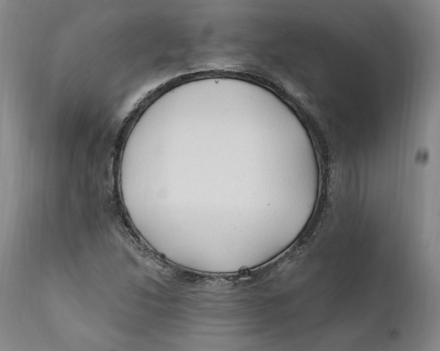X0000110921214200907091449