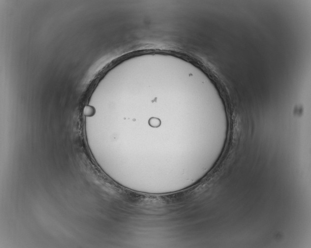 X0000110921215200907091449