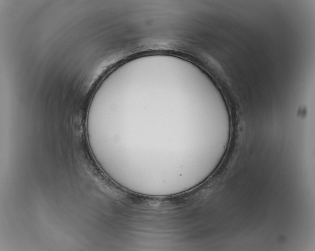 X0000110921218200907091449