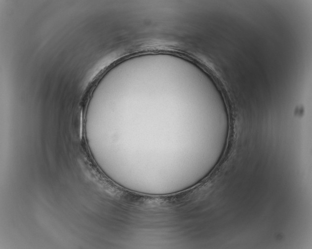 X0000110921219200907091449