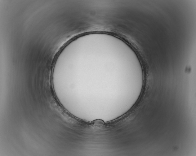 X0000110921220200907091449