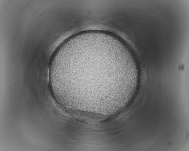 X0000110921221200907091449