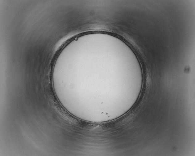 X0000110921222200907091449