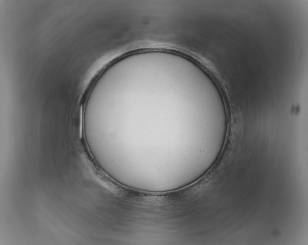 X0000110921223200907091449