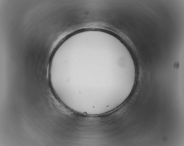 X0000110921224200907091449