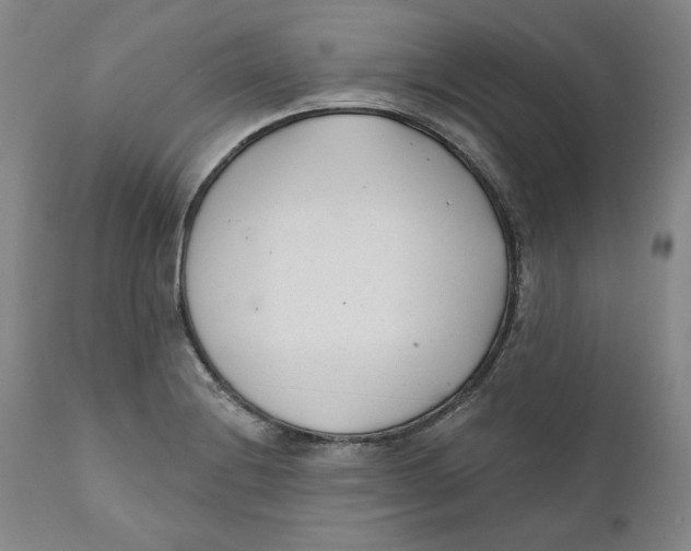 X0000110921228200907091449