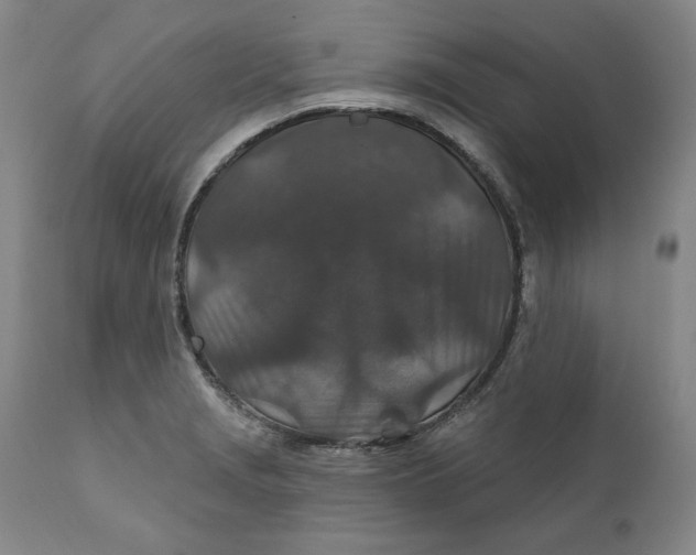 X0000110921229200907091449