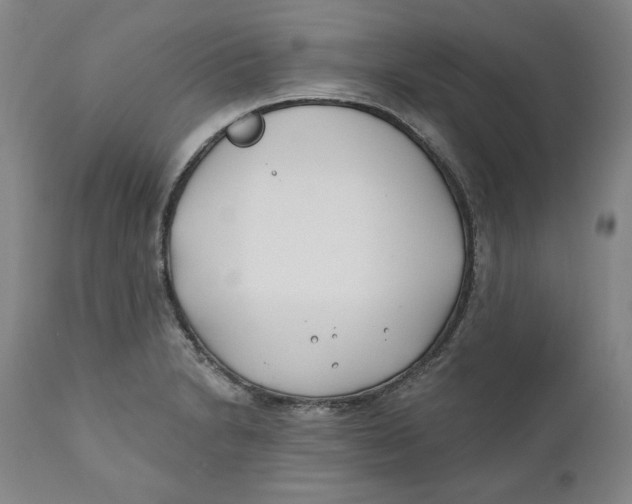X0000110921230200907091449
