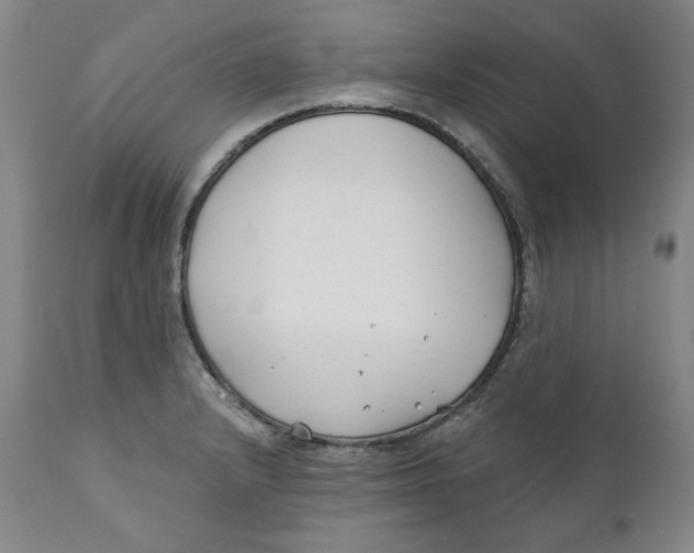 X0000110921232200907091449