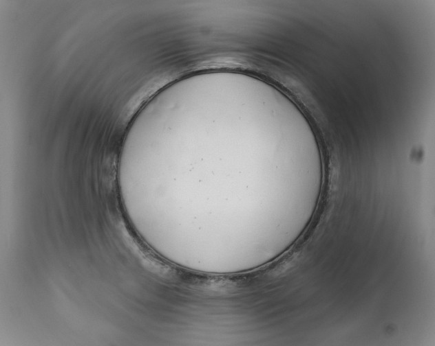 X0000110921233200907091449