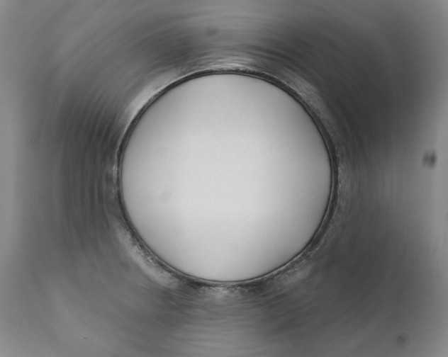 X0000110921234200907091449