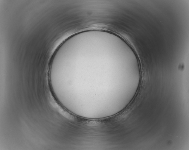 X0000110921235200907091449