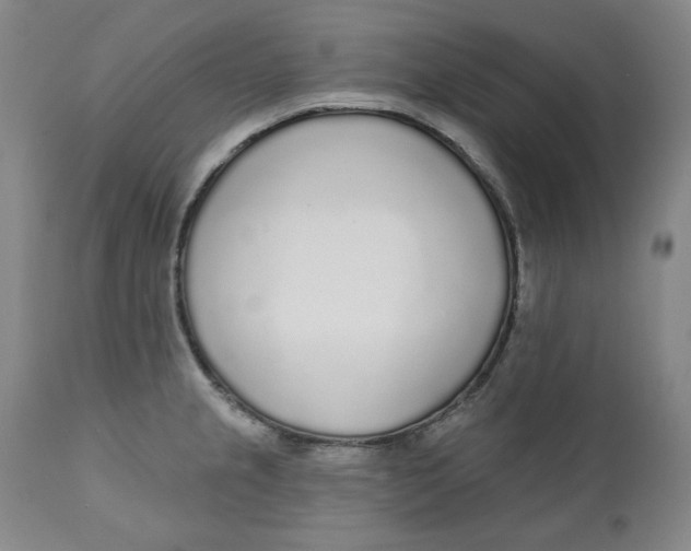 X0000110921237200907091449