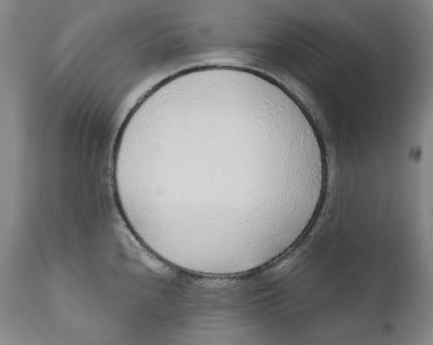 X0000110921240200907091449