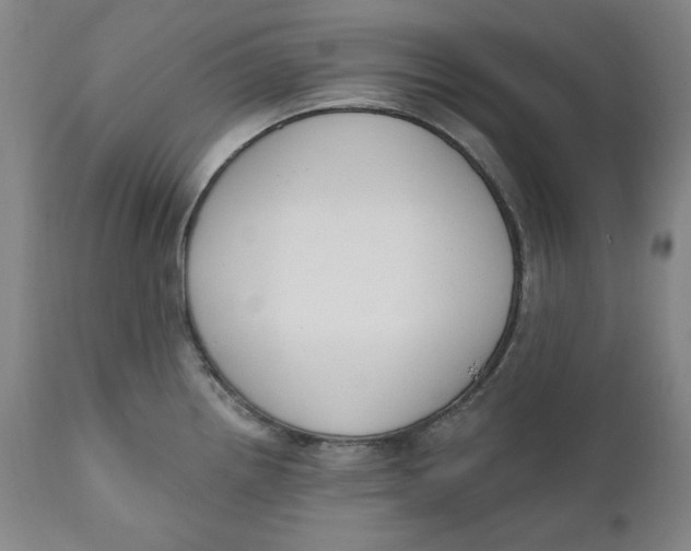 X0000110921242200907091449