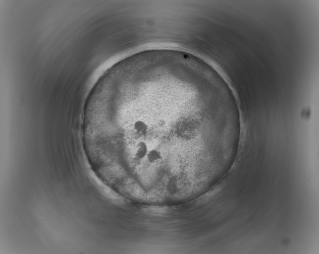 X0000110921245200907091449