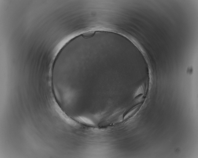 X0000110921246200907091449