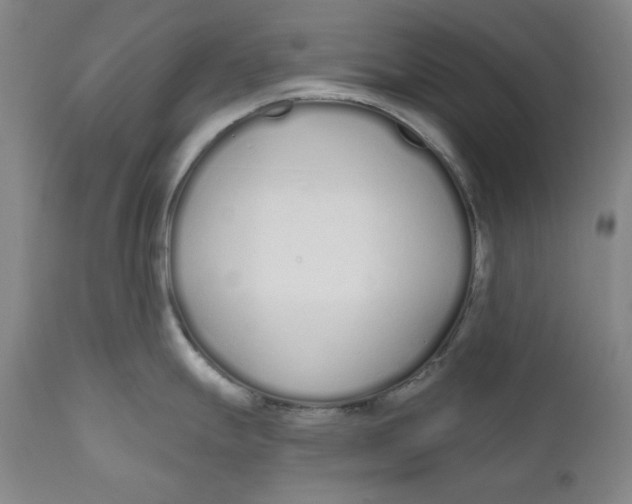 X0000110921247200907091449