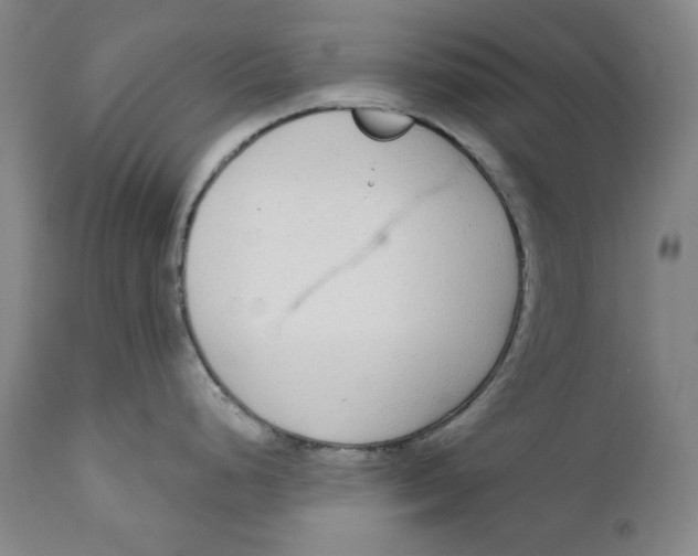 X0000110921248200907091449
