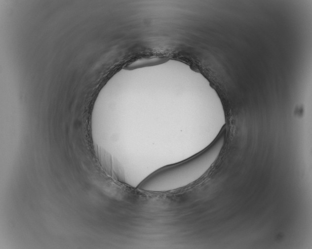 X0000110921249200907091449