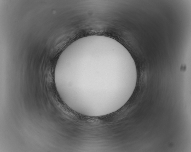 X0000110921250200907091449