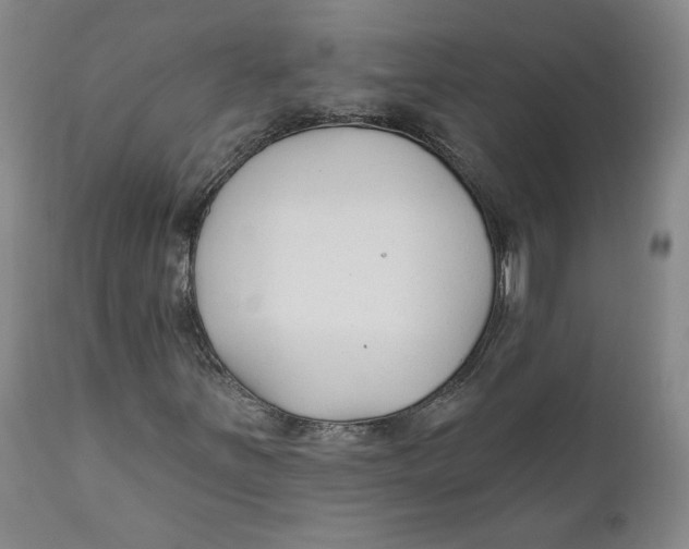 X0000110921251200907091449