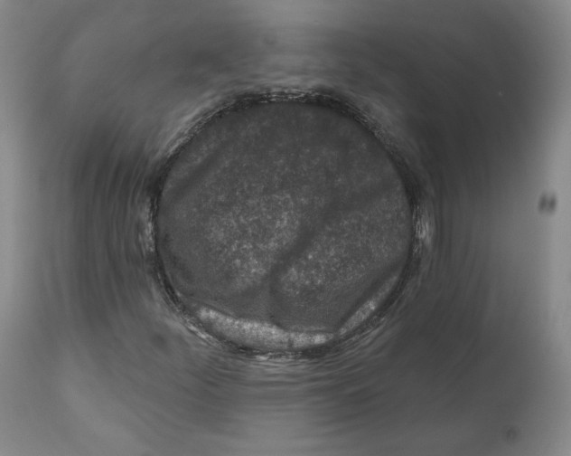 X0000110921252200907091449