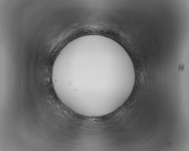 X0000110921253200907091449