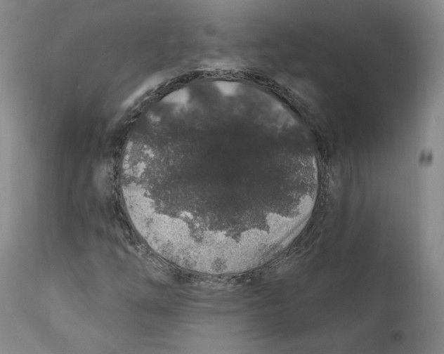 X0000110921254200907091449