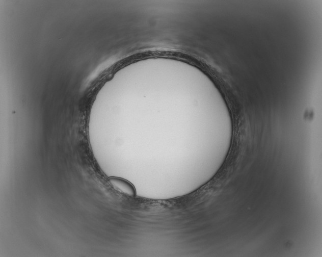 X0000110921255200907091449