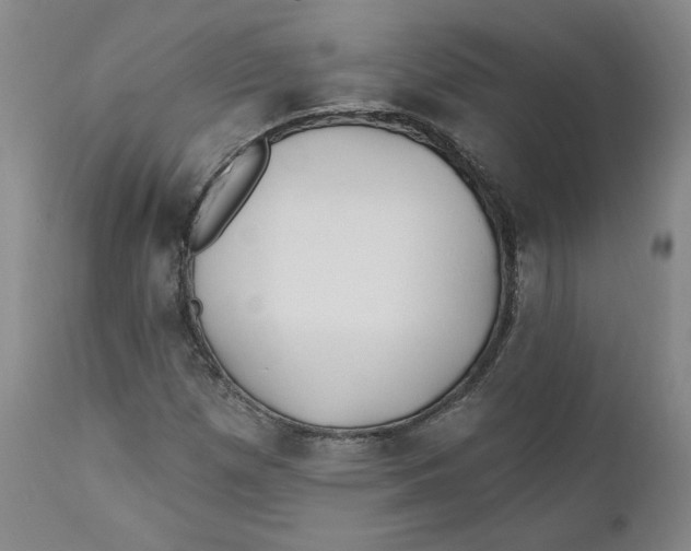 X0000110921257200907091449