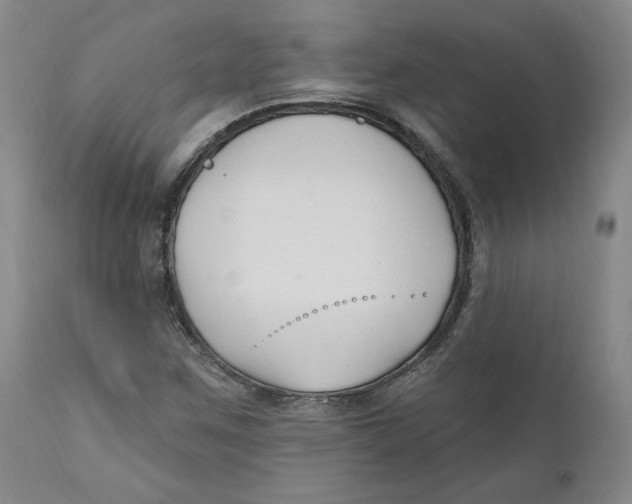 X0000110921259200907091448